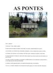 AS PONTES B
