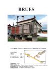 BRUES A