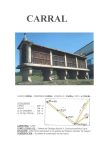 CARRAL A
