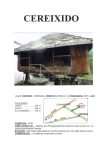 CEREIXIDO A