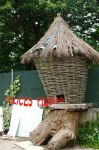 NAVIDAD