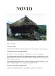 NOVIO B