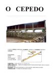 O CEPEDO A
