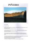 PIÑEIRO B