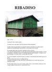 RIBADISO B
