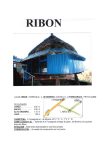 RIBON A