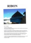 RIBON B