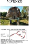 VIVENZO A
