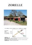 ZORELLE A