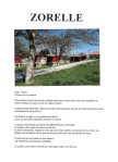 ZORELLE B